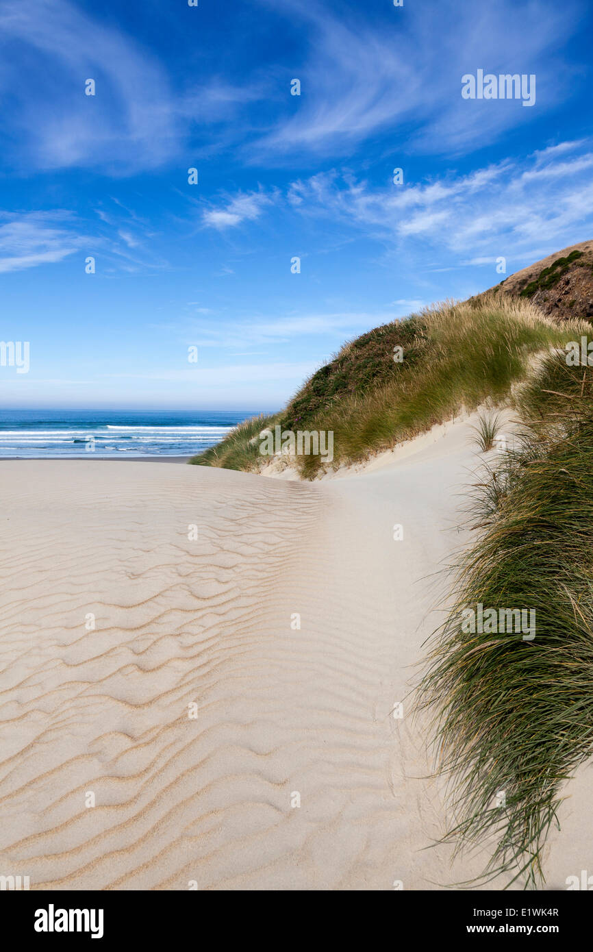 Sandfly Bay Wildlife Refuge auf der Otago Peninsula der Südinsel in Dunedin, Neuseeland Stockfoto