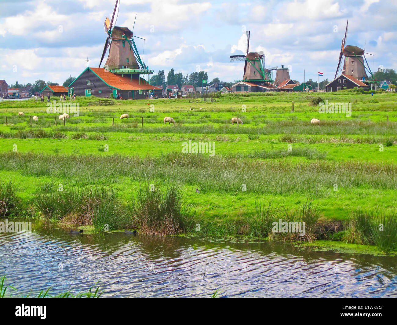 Holland; Niederlande, Geschichte Windmühlen in Zaanse Schans in der Nähe von Amsterdam Stockfoto