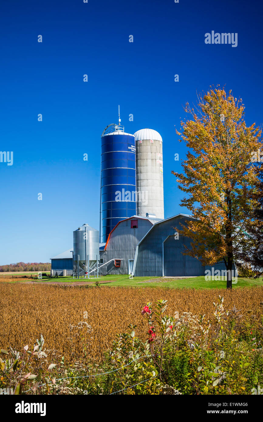 Ein Eastern Townships Bauernhof Scheune und Silo, Quebec, Kanada. Stockfoto