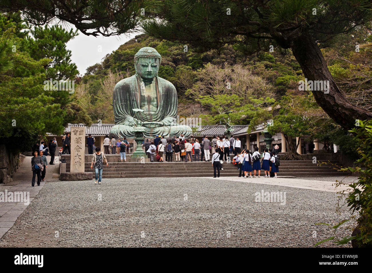 Befindet sich auf dem Gelände des Kotokuin-Tempels, der große Buddha (Daibutsu) von Kamakura steht 13,35 Meter hoch und ist der secon Stockfoto