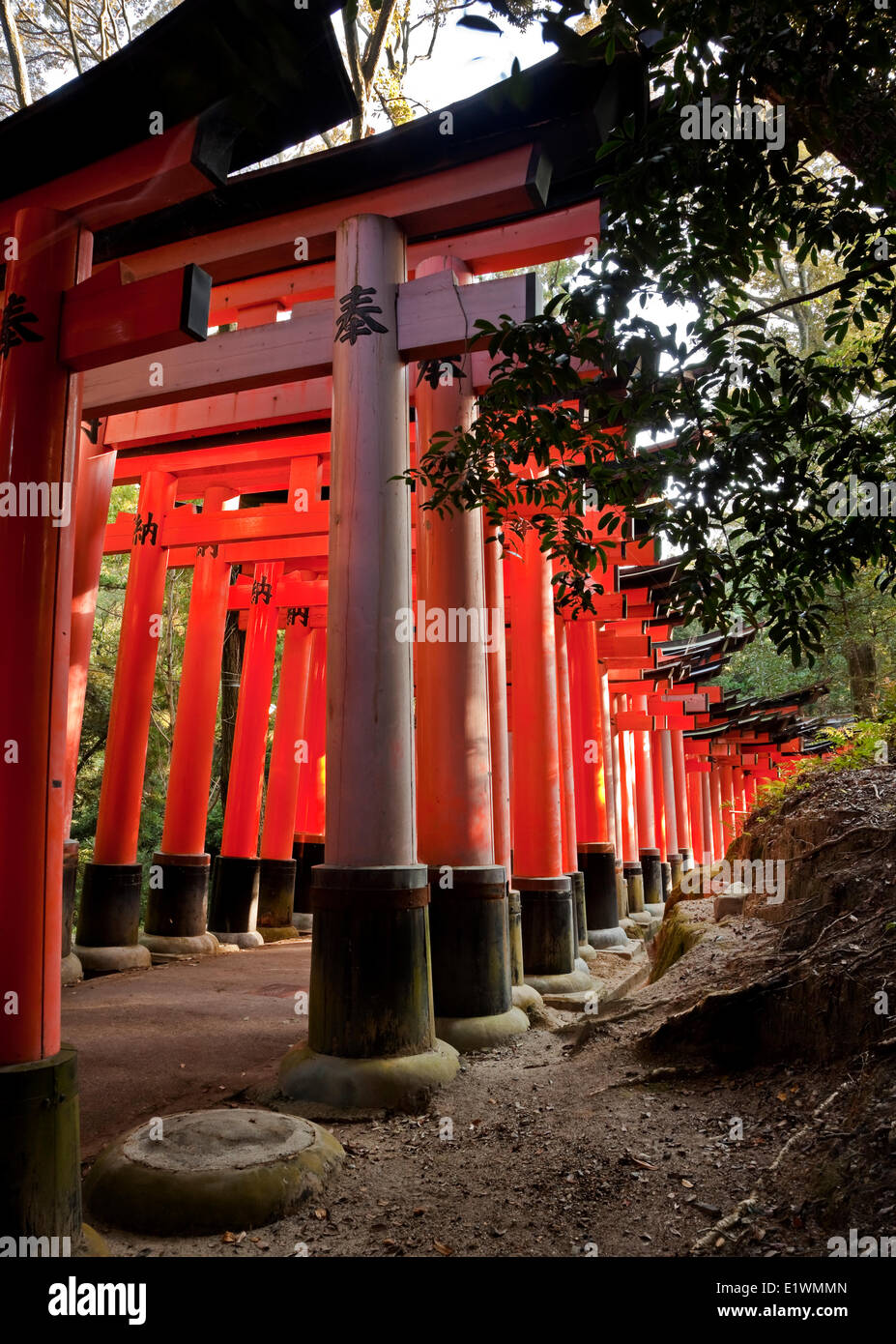 Gewidmet Inari den Gott Reis Sake Fushimi Inari Schrein ist berühmt für seinen Tausenden Vemilion Torii Toren, Straddle ein Stockfoto