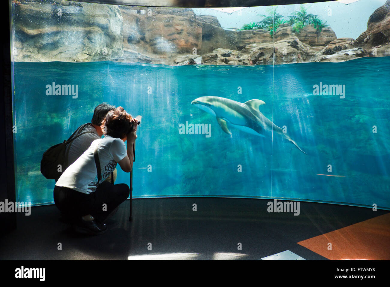 Paar schnappen ein Bild von einem Delfin nach Osaka Aquarium Kaiyukan, Osaka, Japan Stockfoto