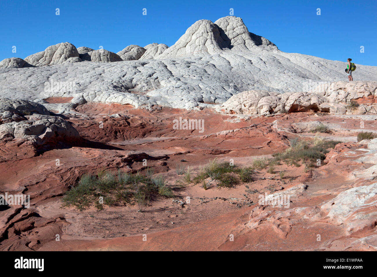 Wanderer am weißen Tasche, Paria Canyon - Vermillion Cliffs Wilderness, Arizona, Vereinigte Staaten Stockfoto