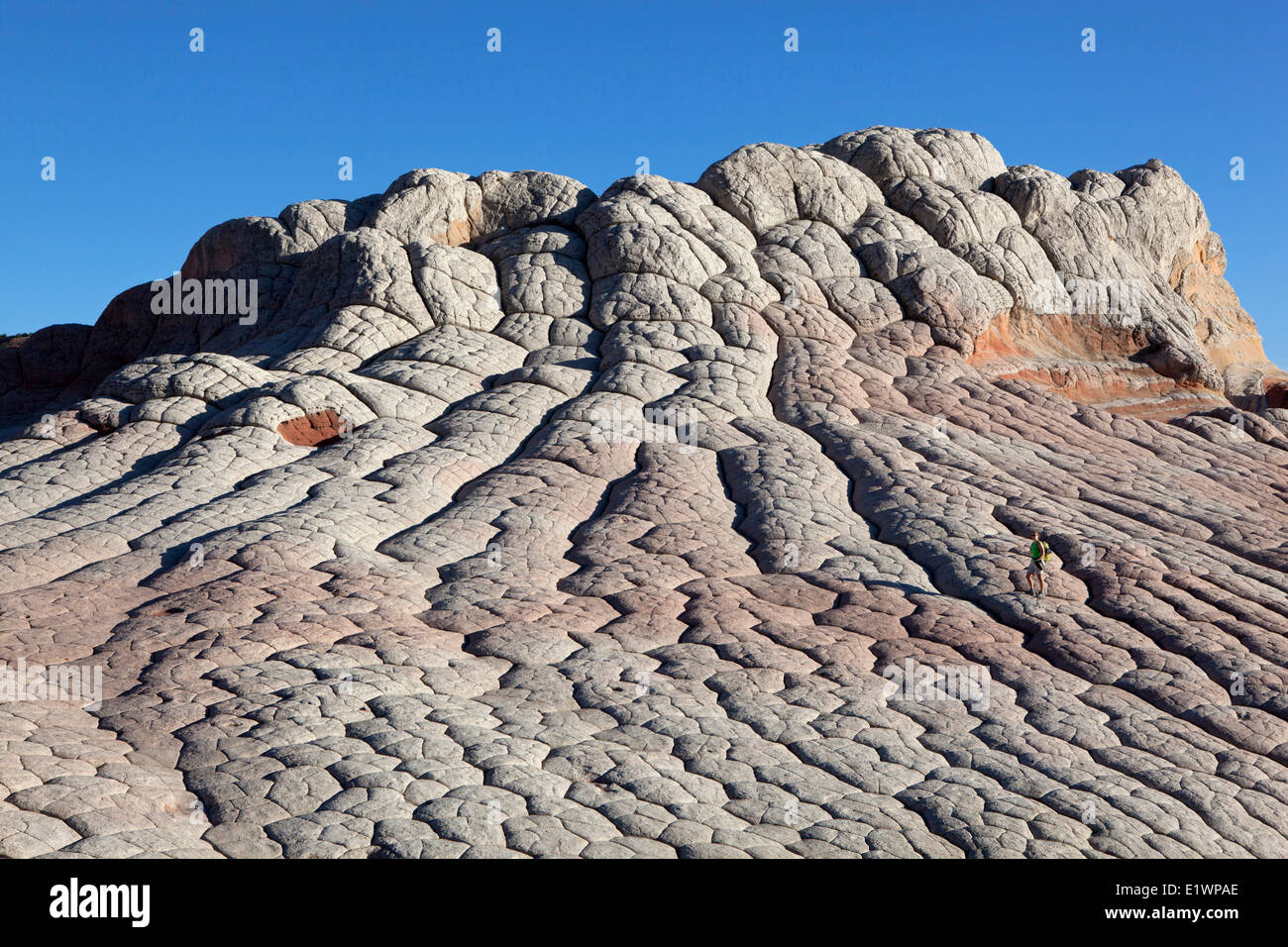Wanderer am weißen Tasche, Paria Canyon - Vermillion Cliffs Wilderness, Arizona, Vereinigte Staaten Stockfoto