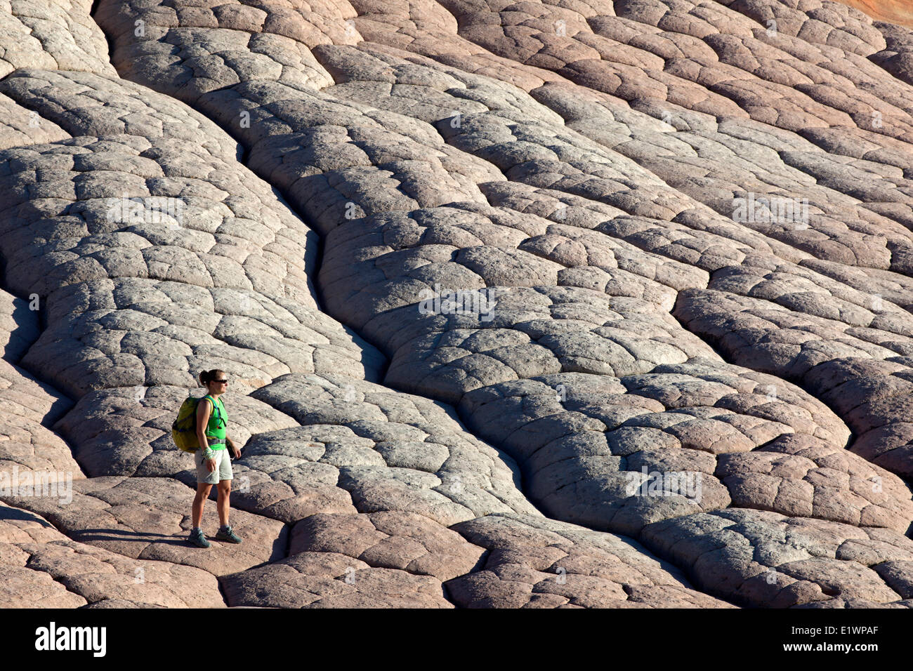Wanderer am weißen Tasche, Paria Canyon - Vermillion Cliffs Wilderness, Arizona, Vereinigte Staaten Stockfoto