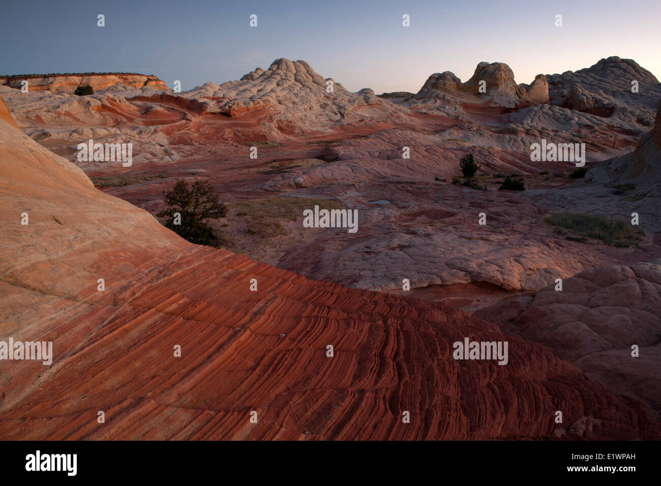 Sandstein-Formationen bei Sonnenuntergang am White Pocket, Paria Canyon - Vermillion Cliffs Wilderness, Arizona, Vereinigte Staaten Stockfoto
