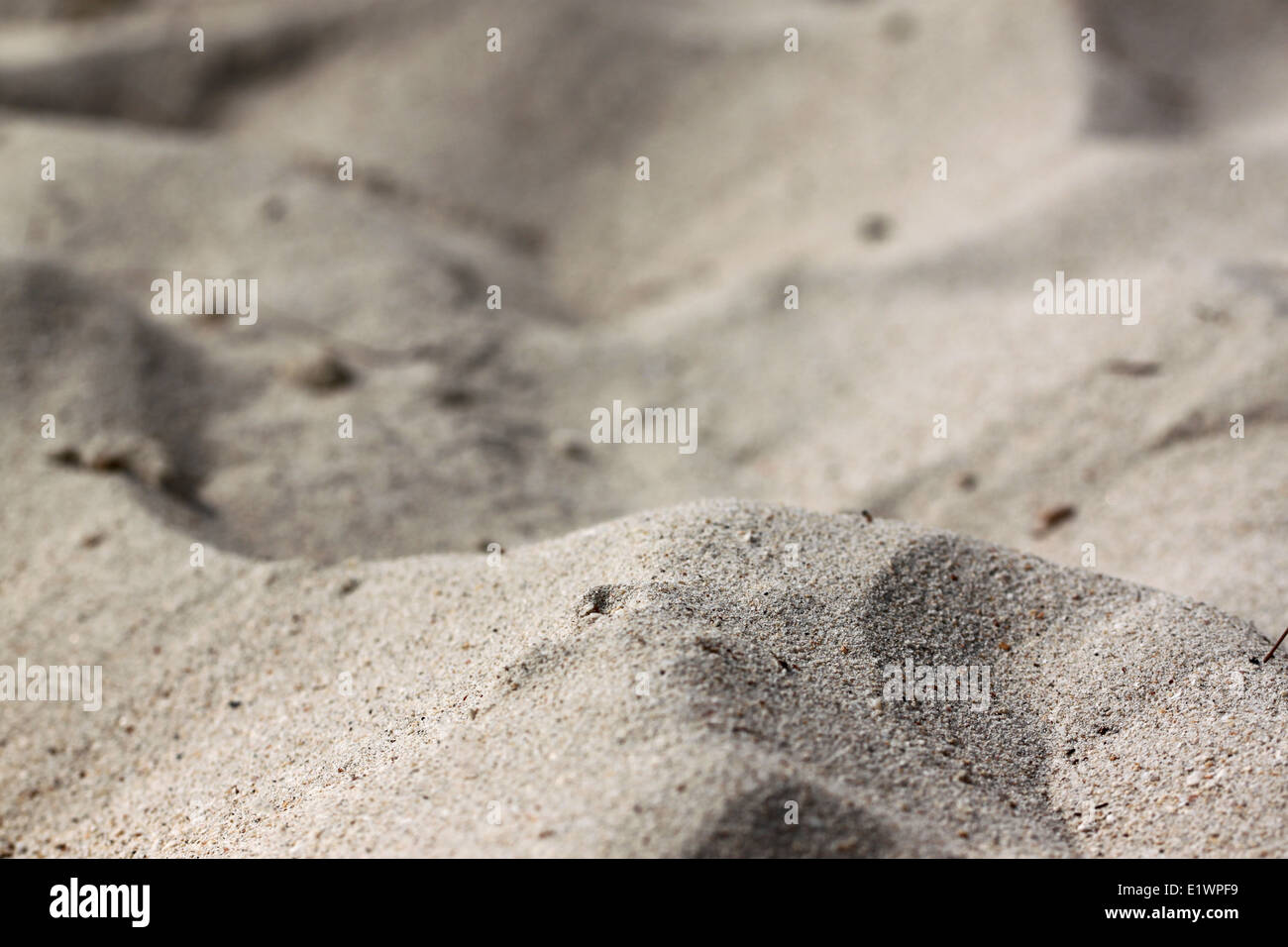 Strand mit feinem Sand ist robust für den Hintergrund. Stockfoto