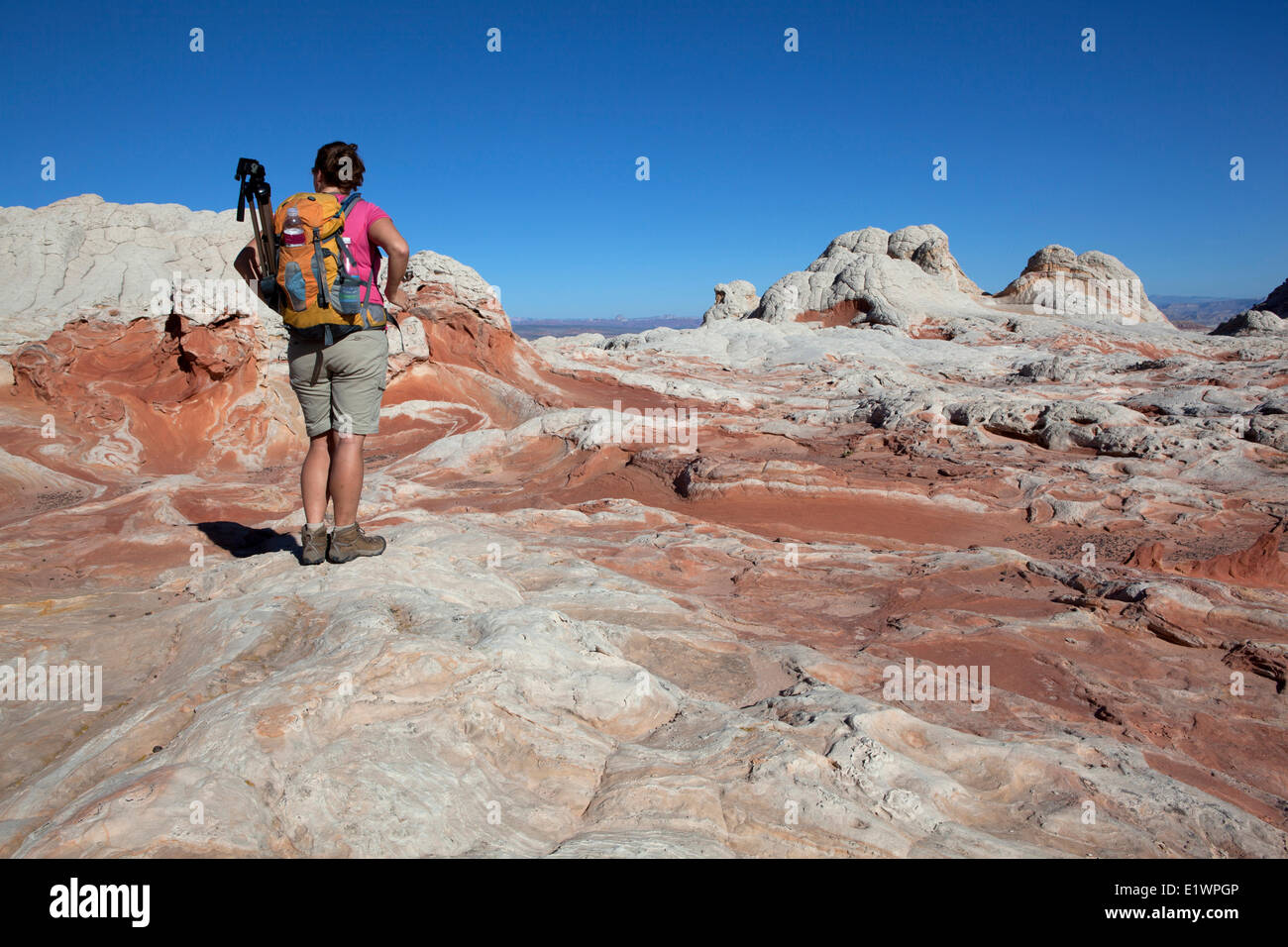 Wanderer am weißen Tasche, Paria Canyon - Vermillion Cliffs Wilderness, Arizona, Vereinigte Staaten Stockfoto