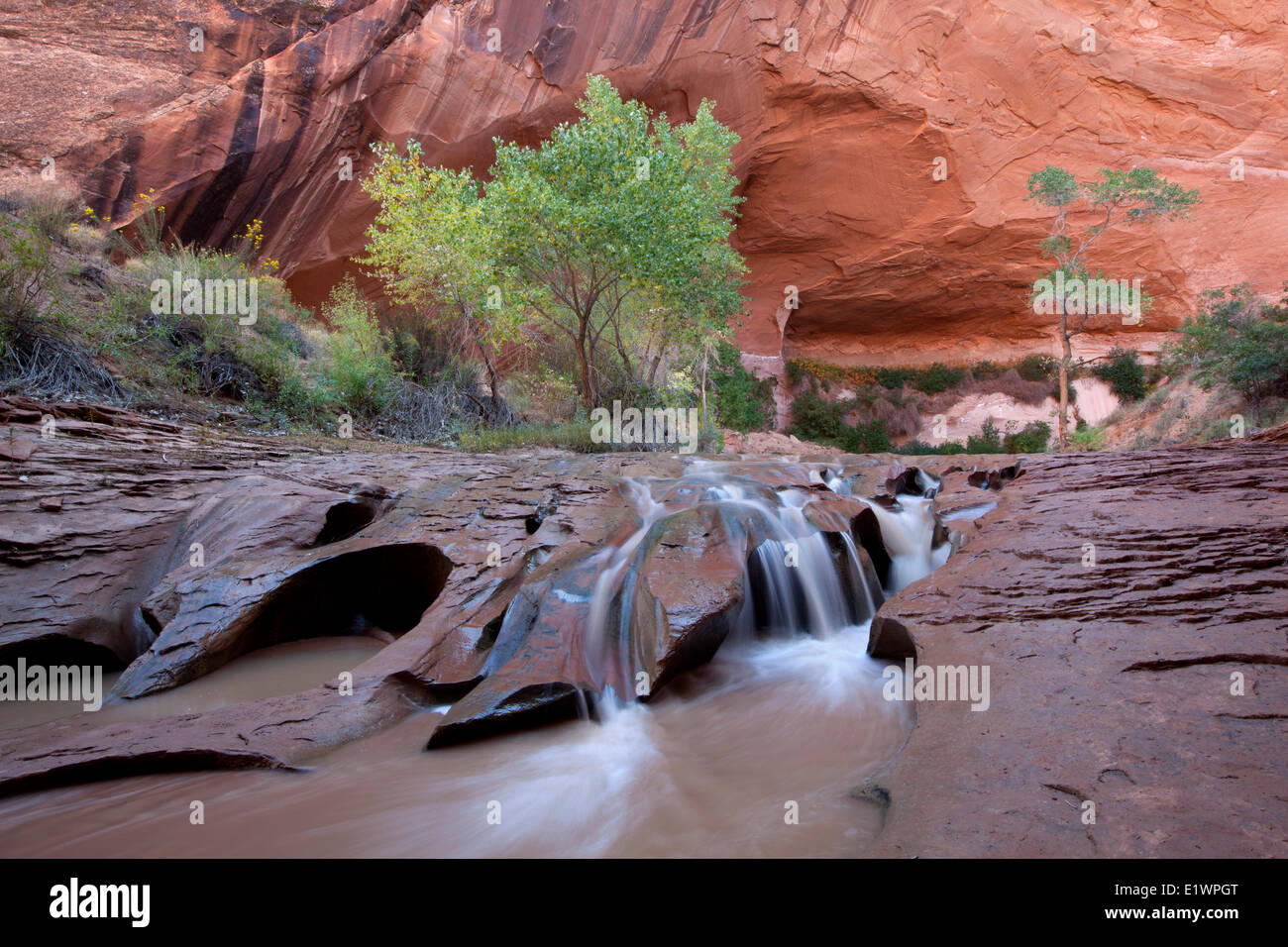 Wasserfall in Coyote Gulch, Grandstaircase-Escalante National Monument, Utah, Vereinigte Staaten Stockfoto