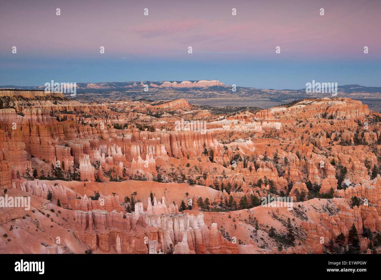Hoodoos bei Sonnenuntergang am Bryce-Canyon-Nationalpark, Utah, Vereinigte Staaten Stockfoto
