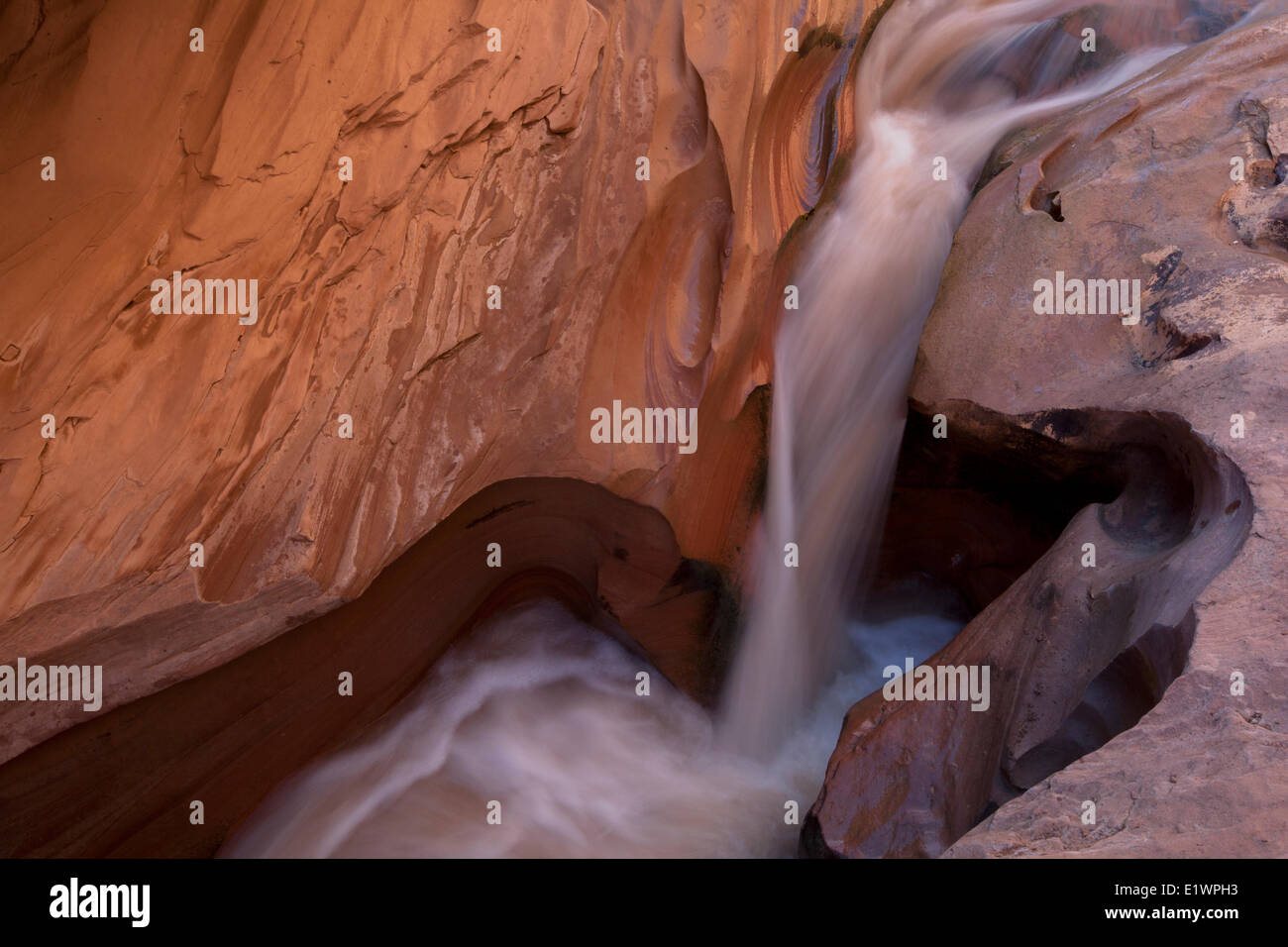 Wasser fließt durch Canyon, Coyote Gulch, Grandstaircase-Escalante National Monument, Utah, Vereinigte Staaten Stockfoto