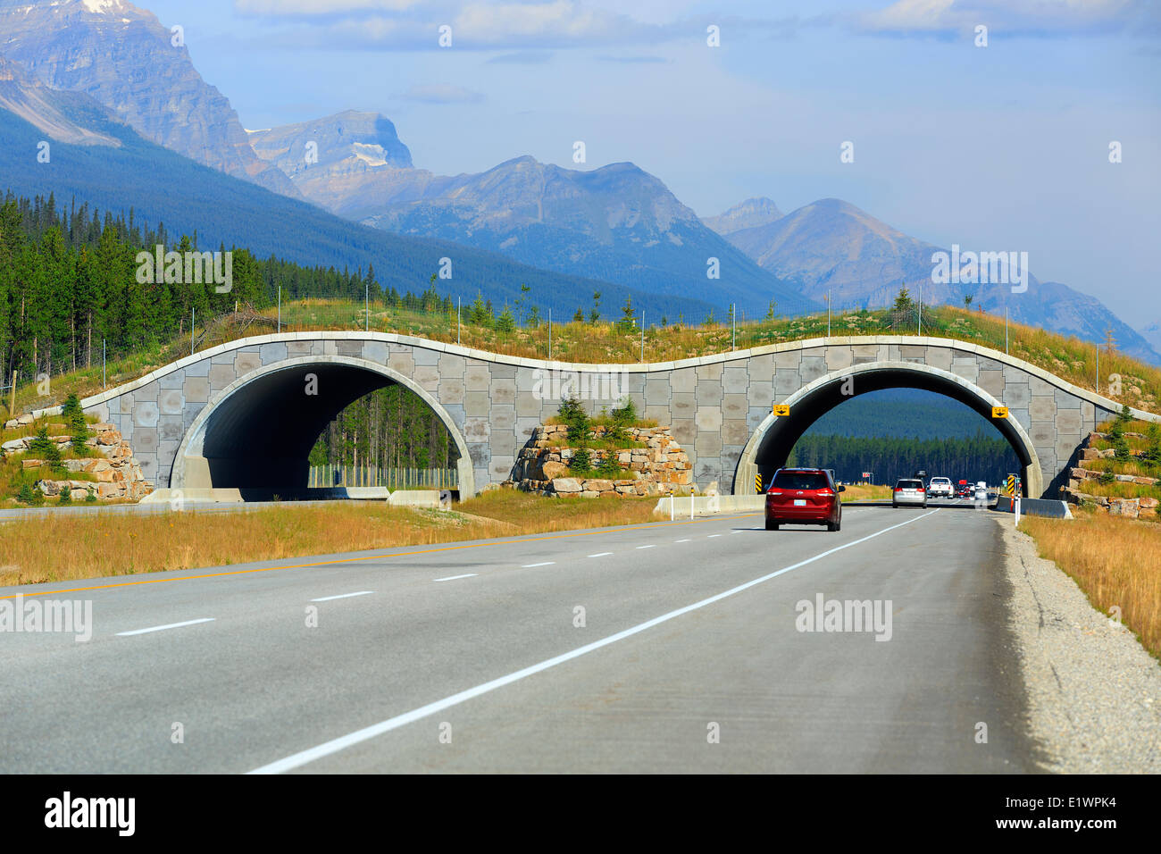 Tierwelt-Brücke überqueren der Trans-Canada Highway, Banff Nationalpark, Alberta, Kanada Stockfoto