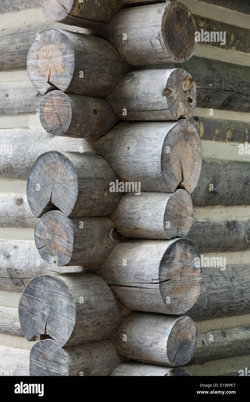 Detail der Log Gelenke auf eine Blockhütte, Algonquin Logging Museum, Algonquin Provincial Park, Ontario, Kanada Stockfoto