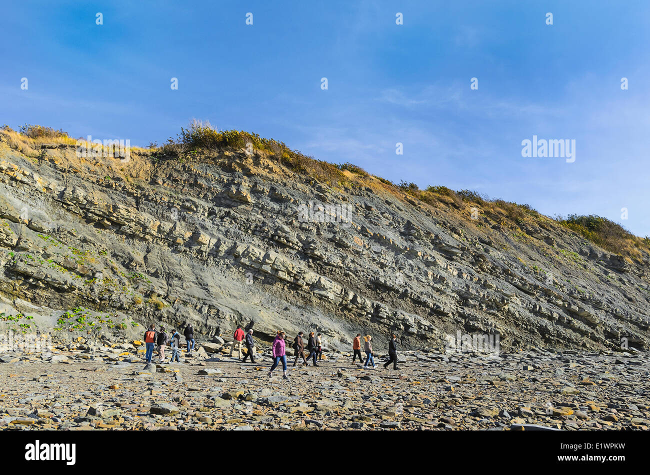 Touristen suchen Fossilien aus der Kohle-Alter Karbon Wäldern, die in der Joggins Fossil Cliffs Bay o aufgedeckt werden Stockfoto