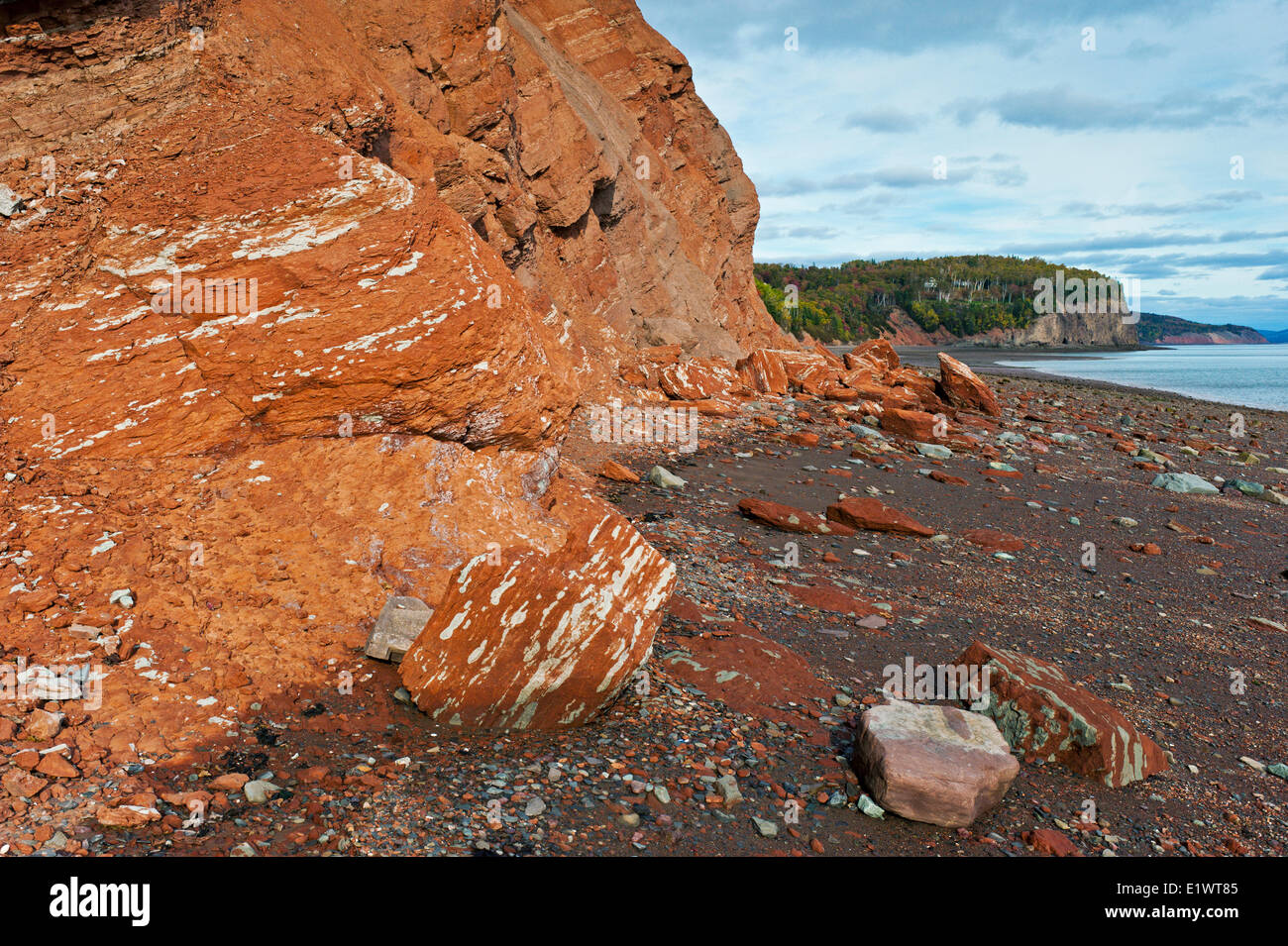Die Wasson Bluff in der Fundy Bay, wo einige der weltweit ältesten Dinosaurier bleibt in den roten sedimentären Felsen gefunden wurden. Low Stockfoto