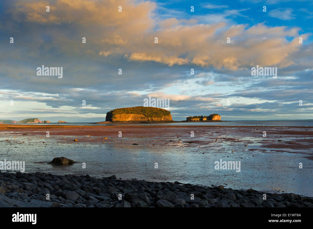 Bay Of Fundy bei Ebbe.  Die Brother Islands befindet sich Clarke Kopf in Minas Basin, Nova Scotia. Kanada. Stockfoto