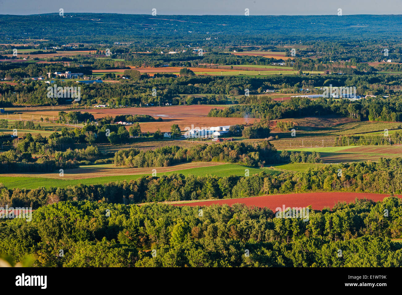 Blomidon Look-Off auf Top North Mountain in der Fundy Shore Annapolis Valley Region anzeigen. Minas Basin Ackerland unten.  Nova Stockfoto