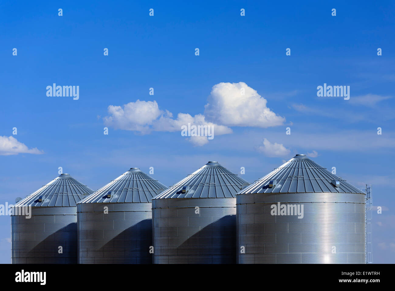 Getreidesilos Lagerung in der Nähe von Lethbridge, Alberta, Kanada Stockfoto