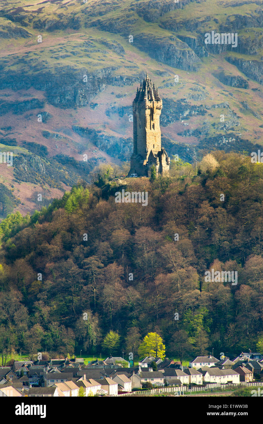 National Wallace Monument steht auf einem Hügel mit Blick auf ein Dorf in der Nähe von Stirling Castle in Schottland, Großbritannien Stockfoto