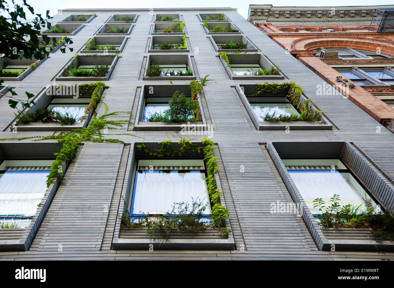 Vertikalen Garten erstellt durch die dezent Blumenkästen auf jeder Fensterbank dieses Gebäude, wodurch für Integration Stockfoto