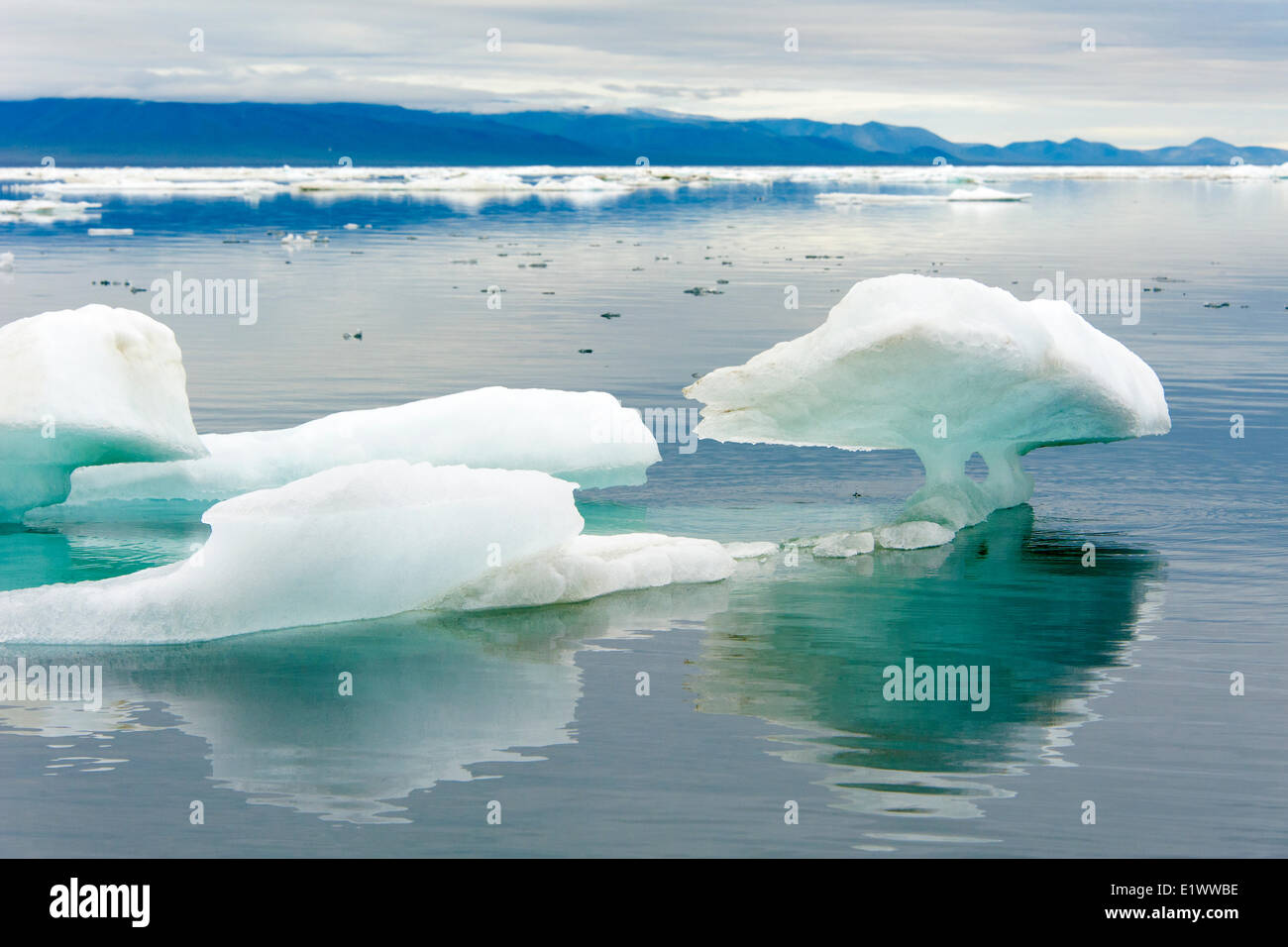 Wrangel Insel, arktischen Russland Stockfoto