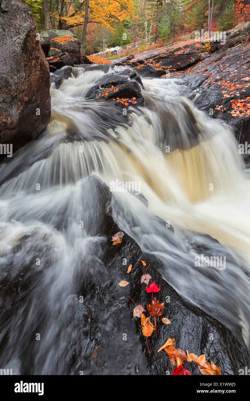 Die York fließt entlang der High Falls Trail im Süden enden Algonquin Park Ontario. Bunte Blätter überziehen die Felsen als Stockfoto