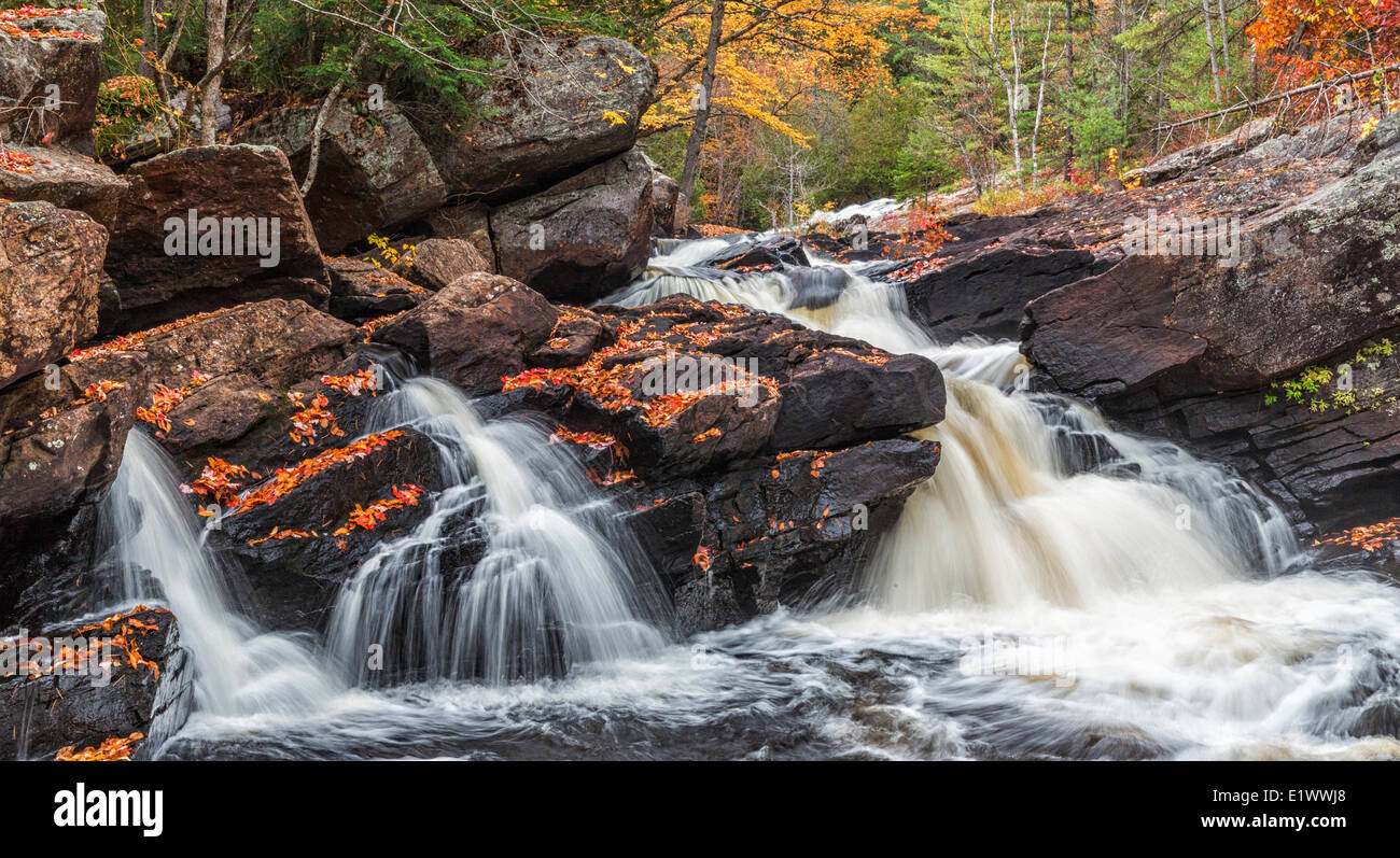 Die York fließt entlang der High Falls Trail im Süden enden Algonquin Park Ontario. Bunte Blätter überziehen die Felsen als Stockfoto