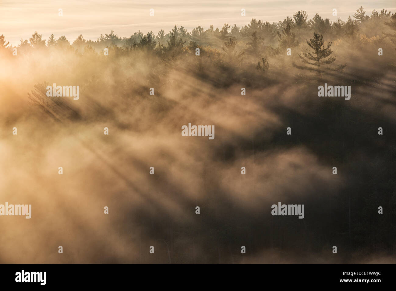 Die aufgehende Sonne glänzt durch den Nebel heben aus den Tiefen des Barron Canyon im Algonquin Park, Ontario Stockfoto