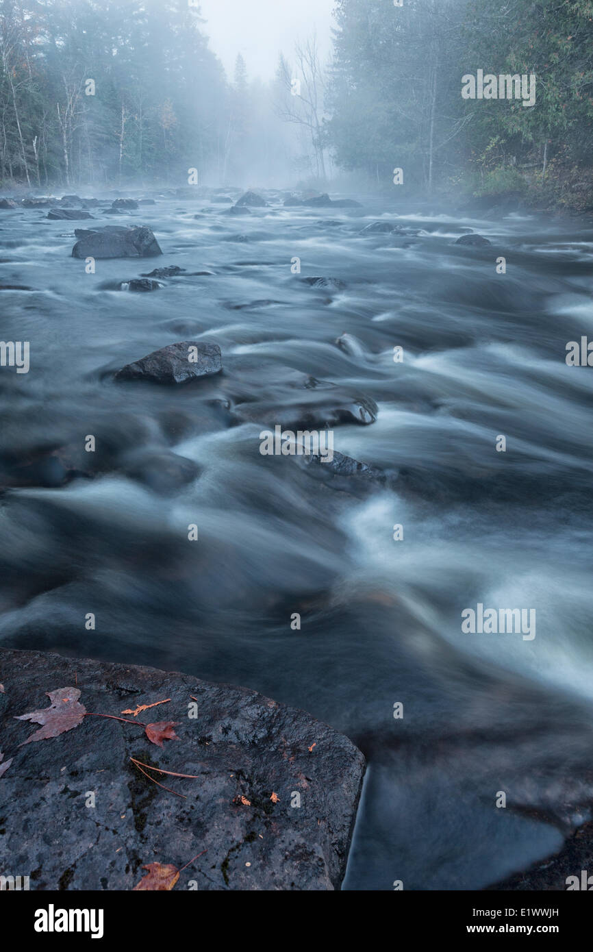 Nebel steigt aus der Petawawa River fließt es durch den Wald in der Dämmerung auf der Ostseite des Algonquin Park, Ontario. Stockfoto