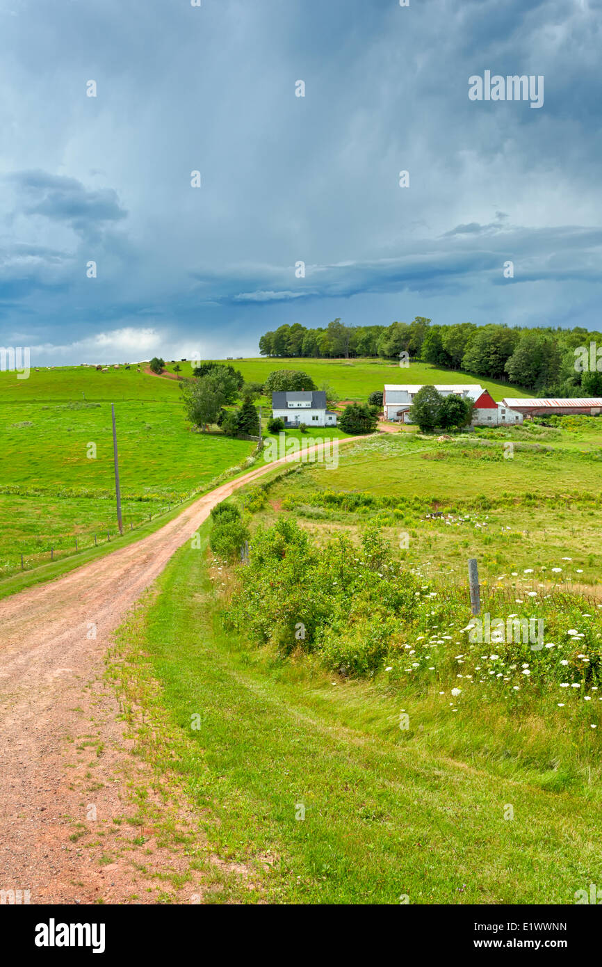 Ton Weg zum Bauernhof, Bonshaw, Prince Edward Island, Canada Stockfoto