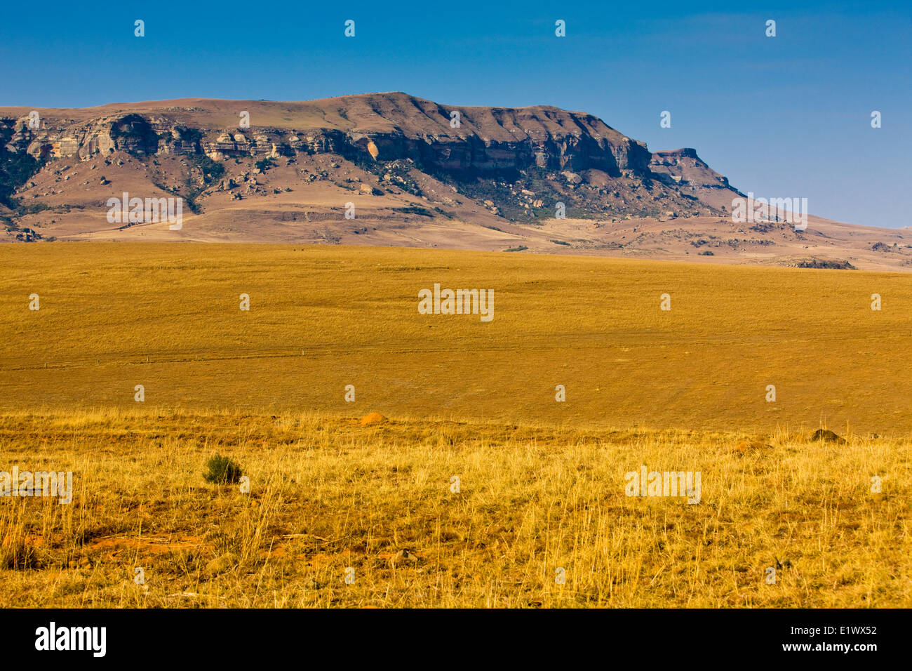 Die Drakensberge, KwaZulu-Natal, Südafrika Stockfoto
