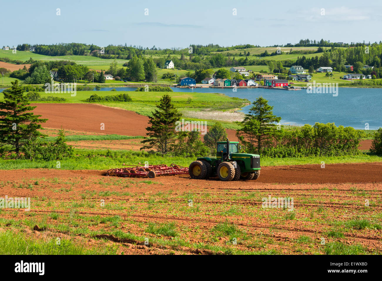 Traktor disking Feld, French River, Prince Edward Island, Canada Stockfoto