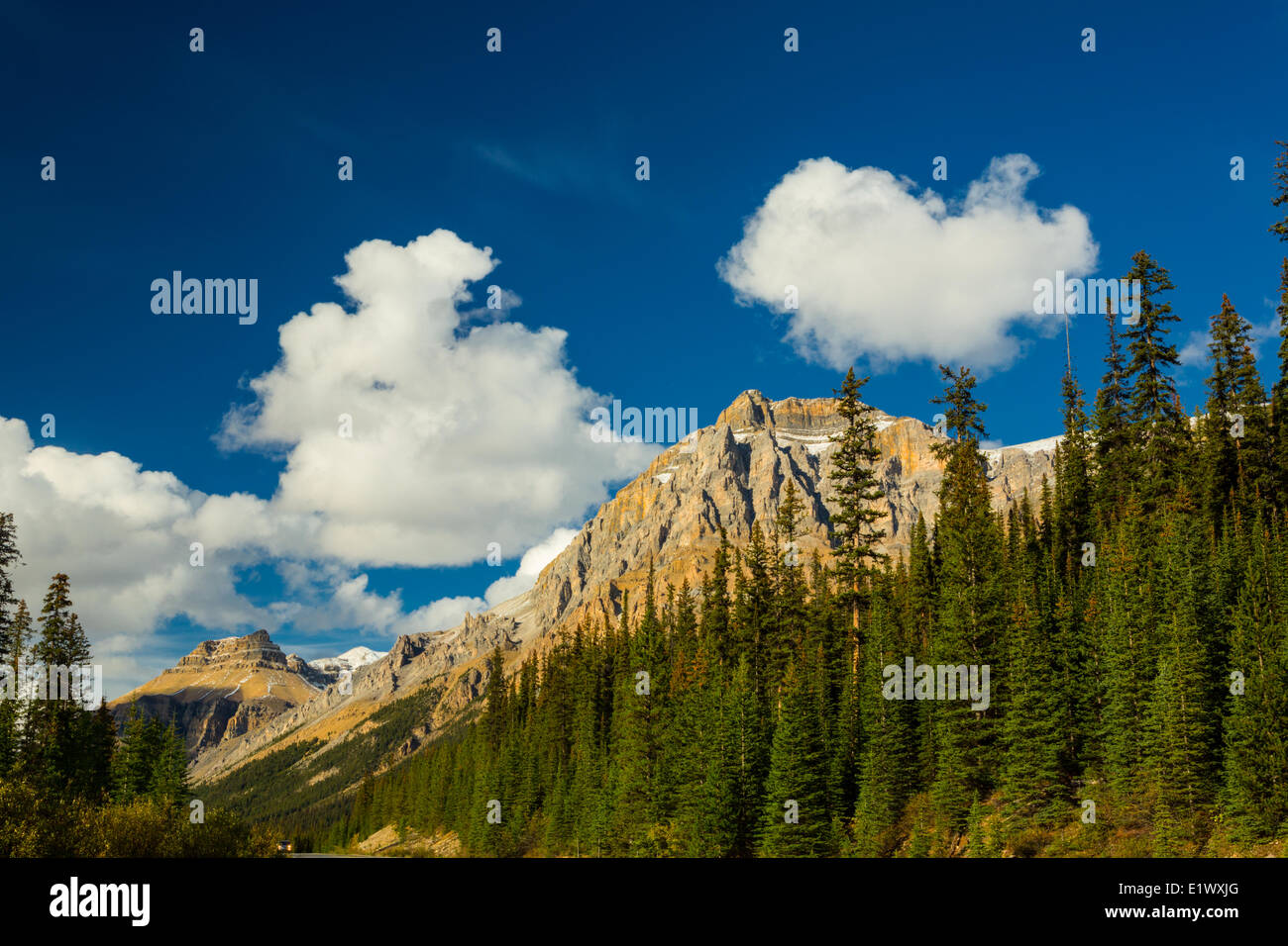 Montieren Sie Andromache, Icefield Parkway, Banff Nationalpark, Alberta, Canada1 Stockfoto