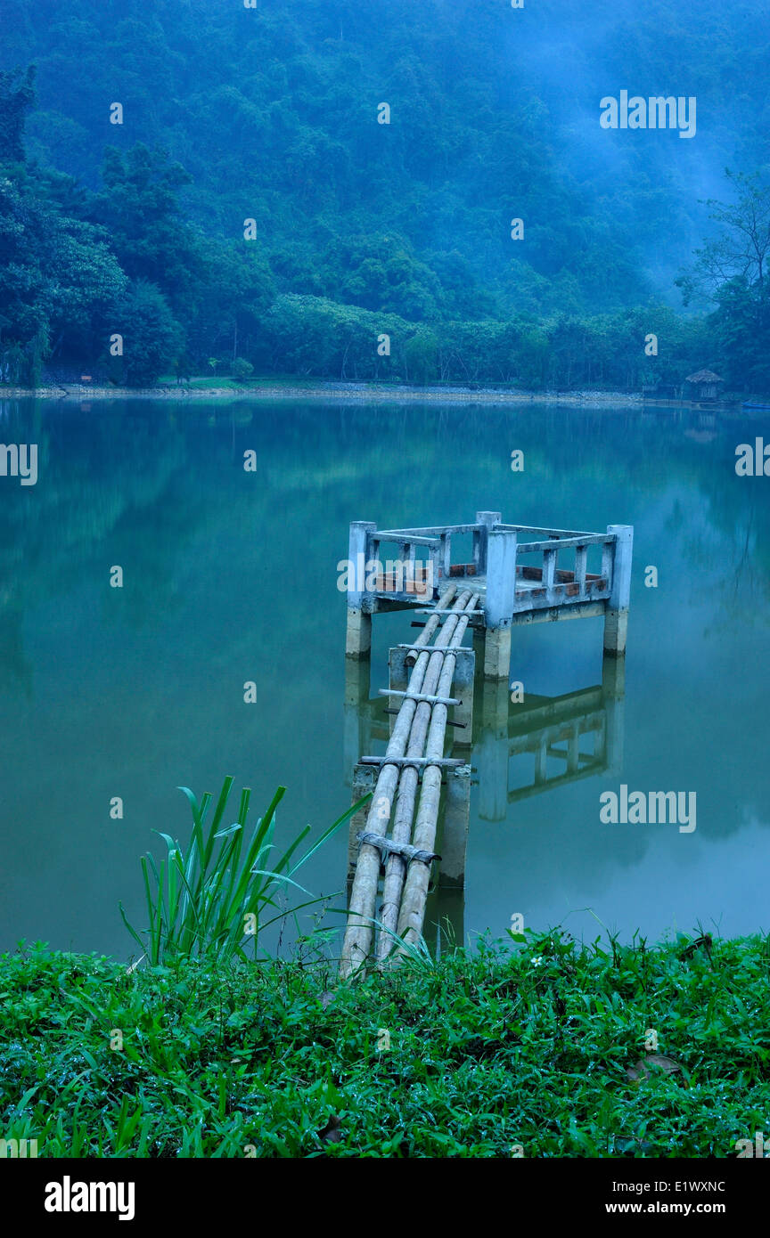 Mac-See, Nationalpark Cuc Phuong, Vietnam Stockfoto