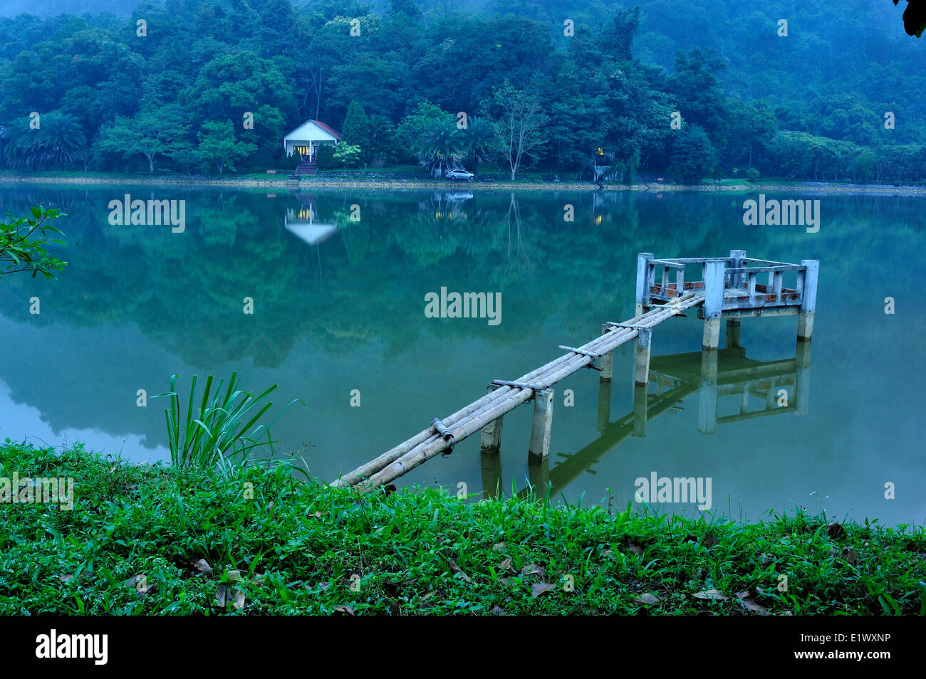 Mac-See, Nationalpark Cuc Phuong, Vietnam Stockfoto