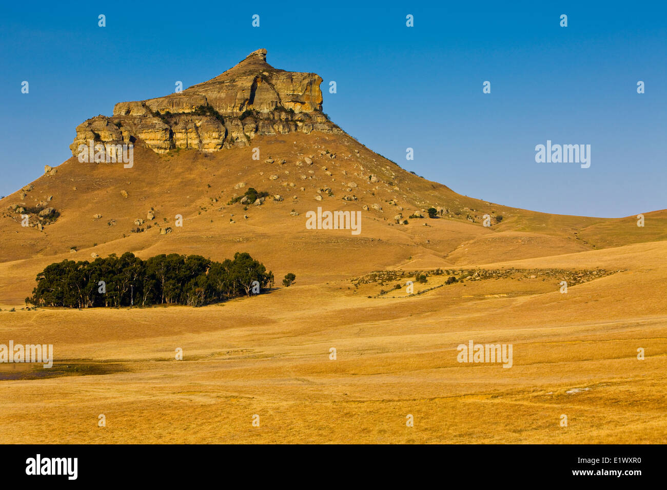 Die Drakensberge, KwaZulu-Natal, Südafrika Stockfoto