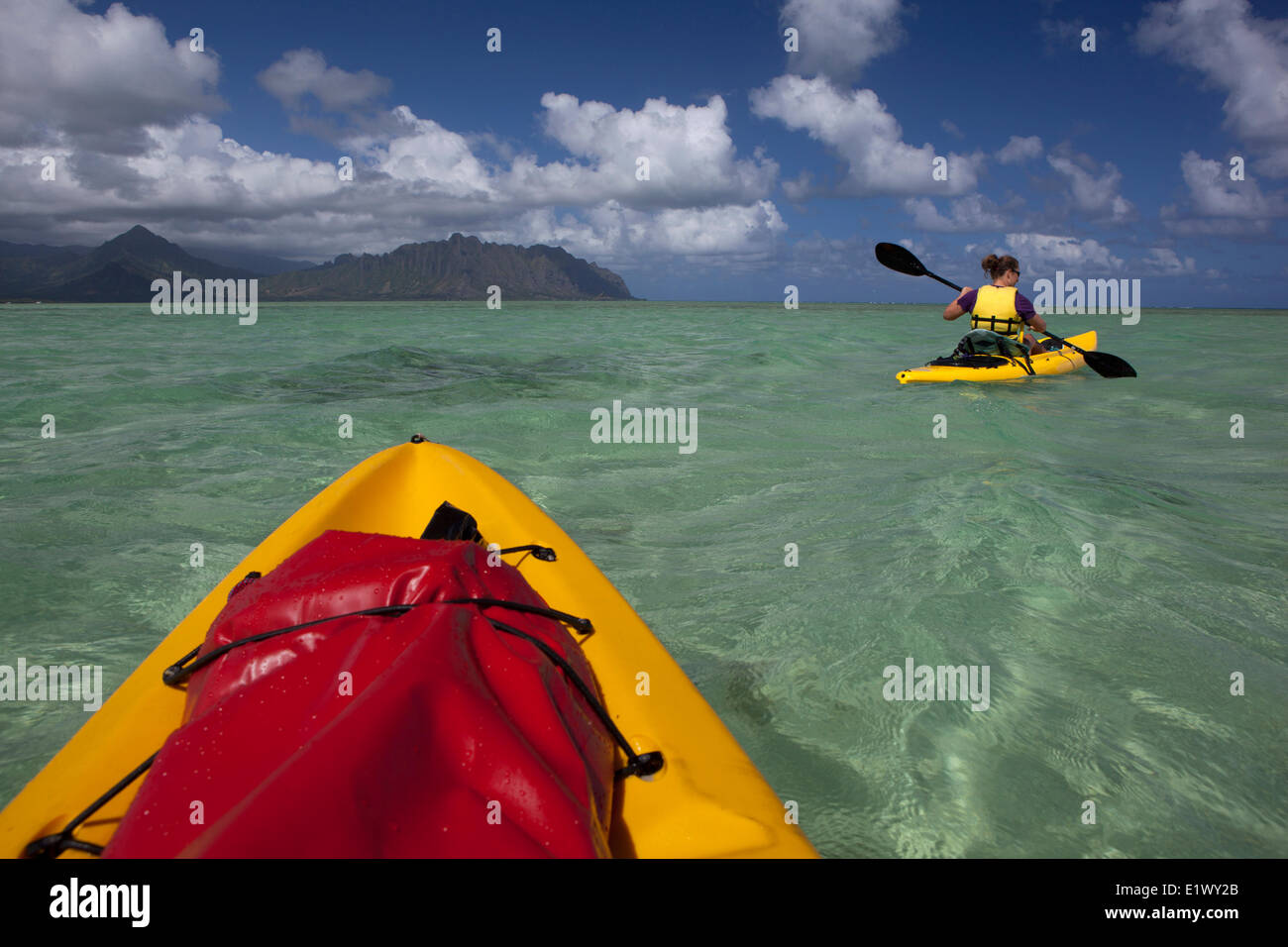 Kajakfahren in der Kane'ohe Bucht, Oahu, Hawaii, Vereinigte Staaten von Amerika Stockfoto