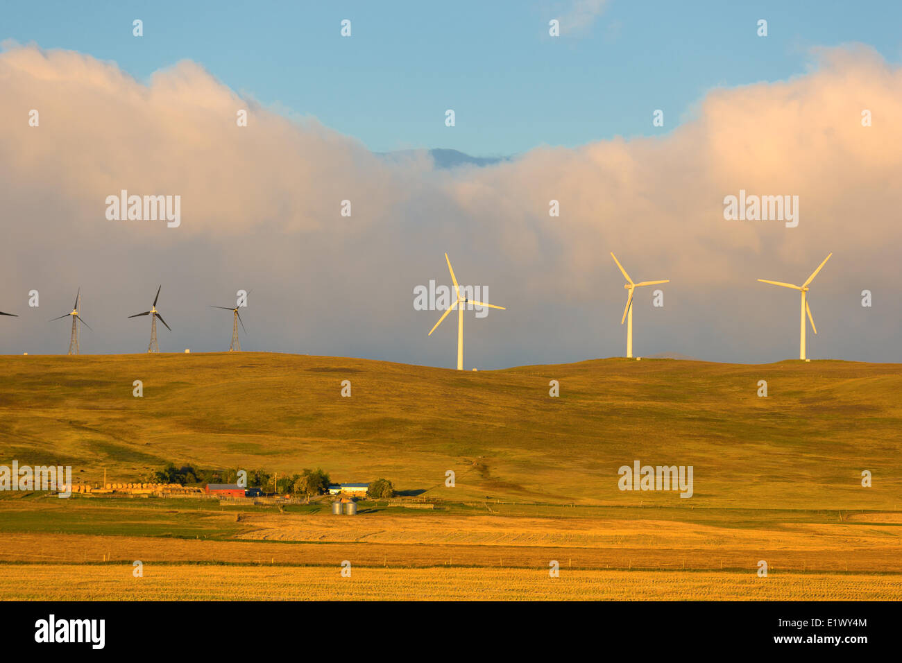Windenergieanlagen bei Sonnenaufgang, Pincher Creek, Alberta, Kanada Stockfoto