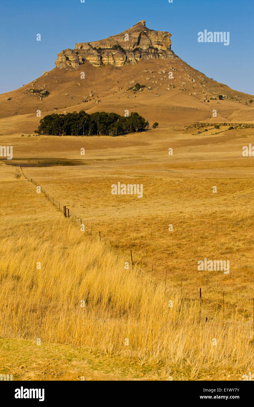Die Drakensberge, KwaZulu-Natal, Südafrika Stockfoto