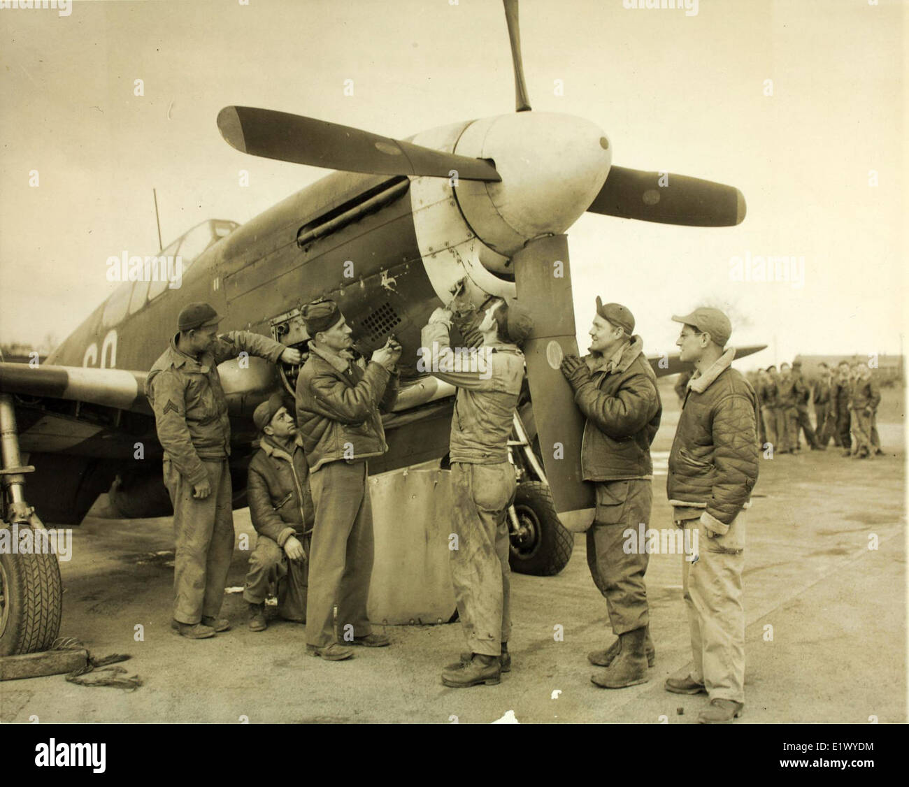 Reconnaise/Kämpfer; 9. Air Force; P-51S Stockfoto