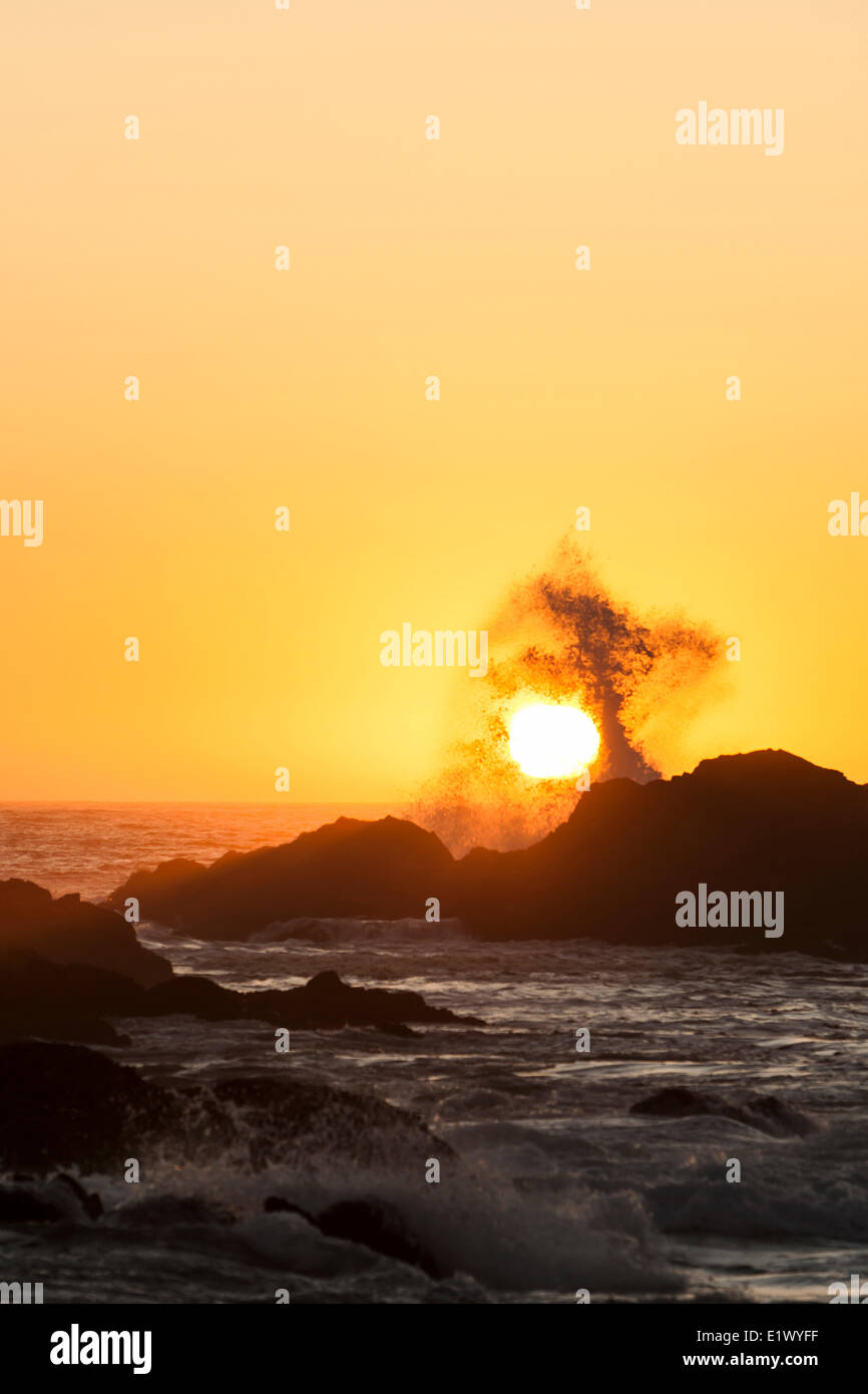 Eine Welle bricht über eine felsige Landzunge auf der pacific Trail in der Nähe von Ucluelet.  Ucluelet, Vancouver Island, British Columbia, Kanada Stockfoto