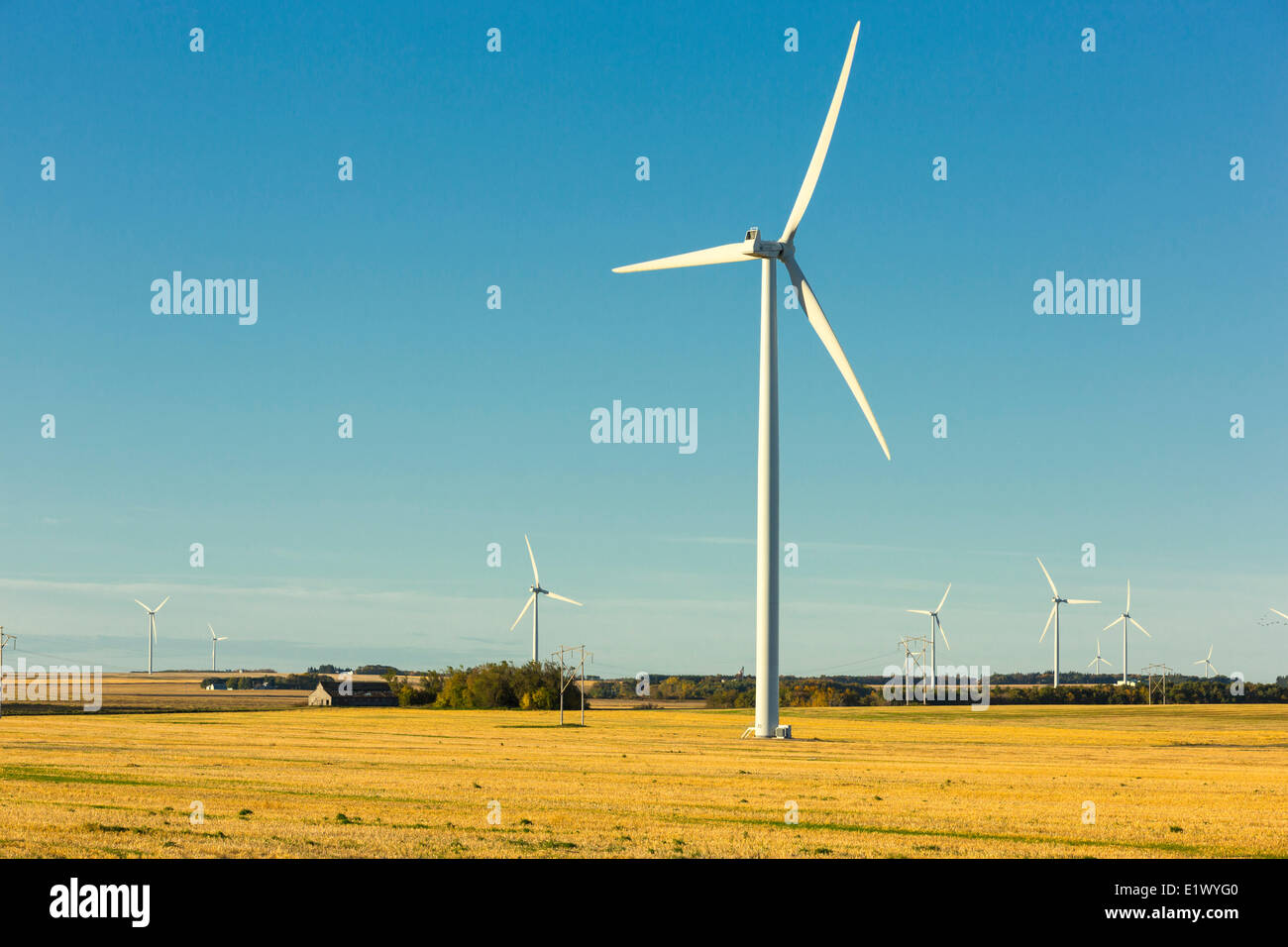 Windkraftanlagen, Lorne, Manitoba, Kanada Stockfoto