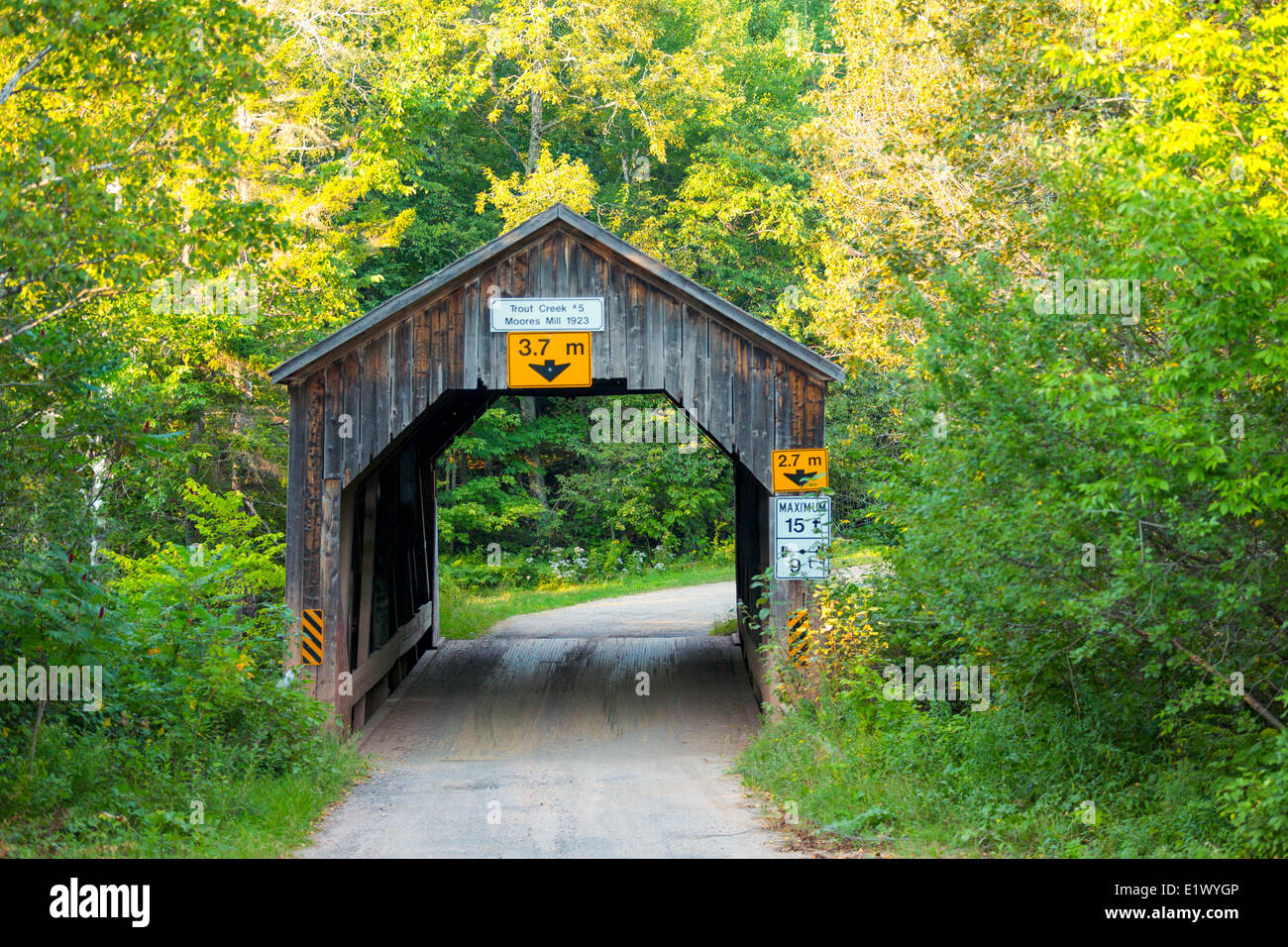 Moores Mühle gedeckte Brücke, Trout Creek, New Brunswick, Kanada Stockfoto