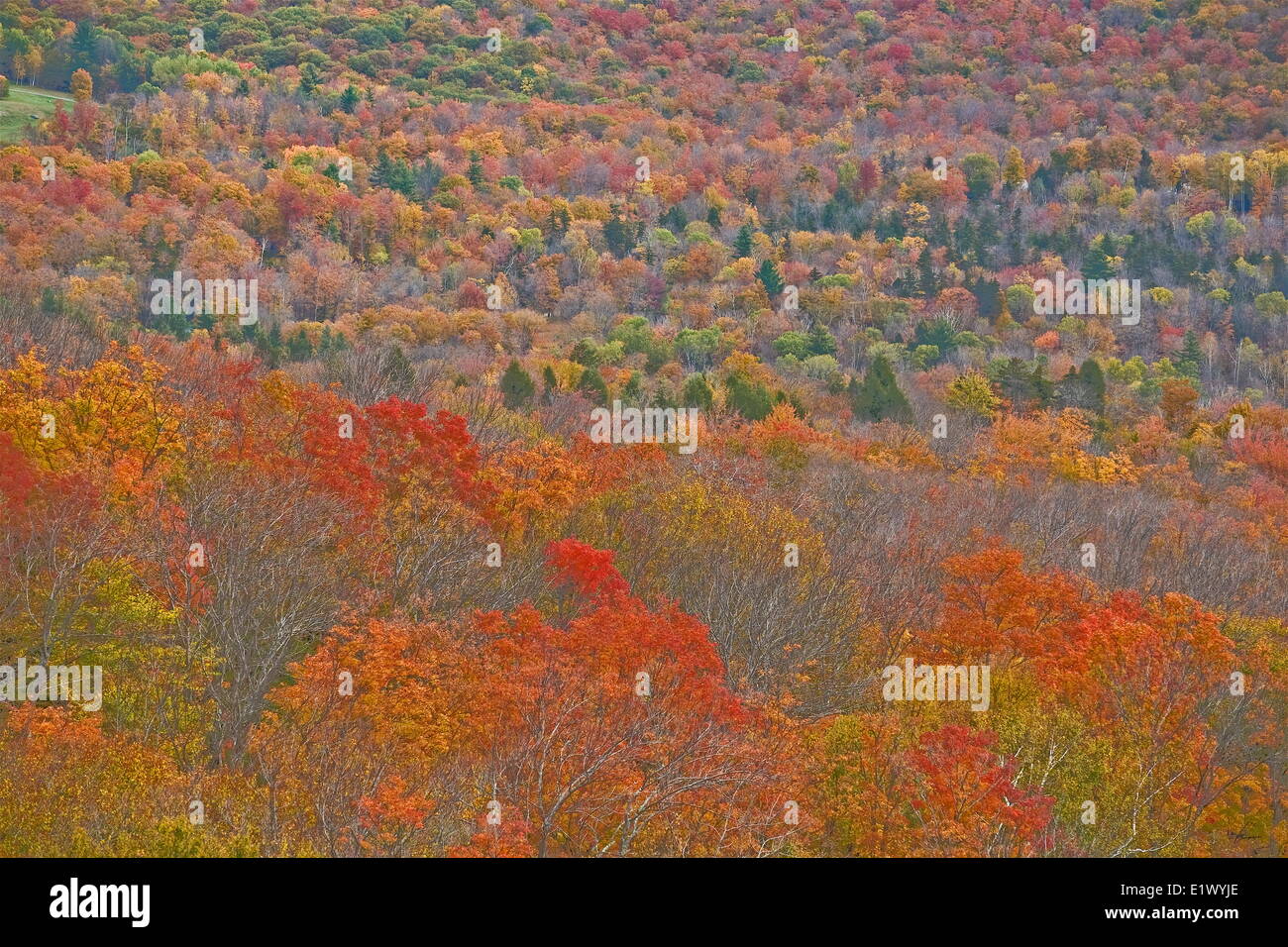 Verlieben Sie sich In Vermont, USA Stockfoto