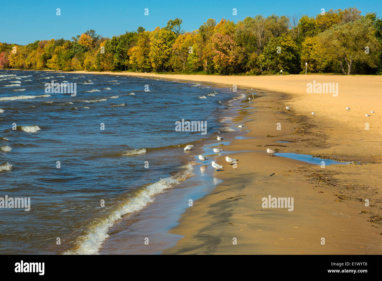 Beach, North Bay, Ontario, Kanada Stockfoto