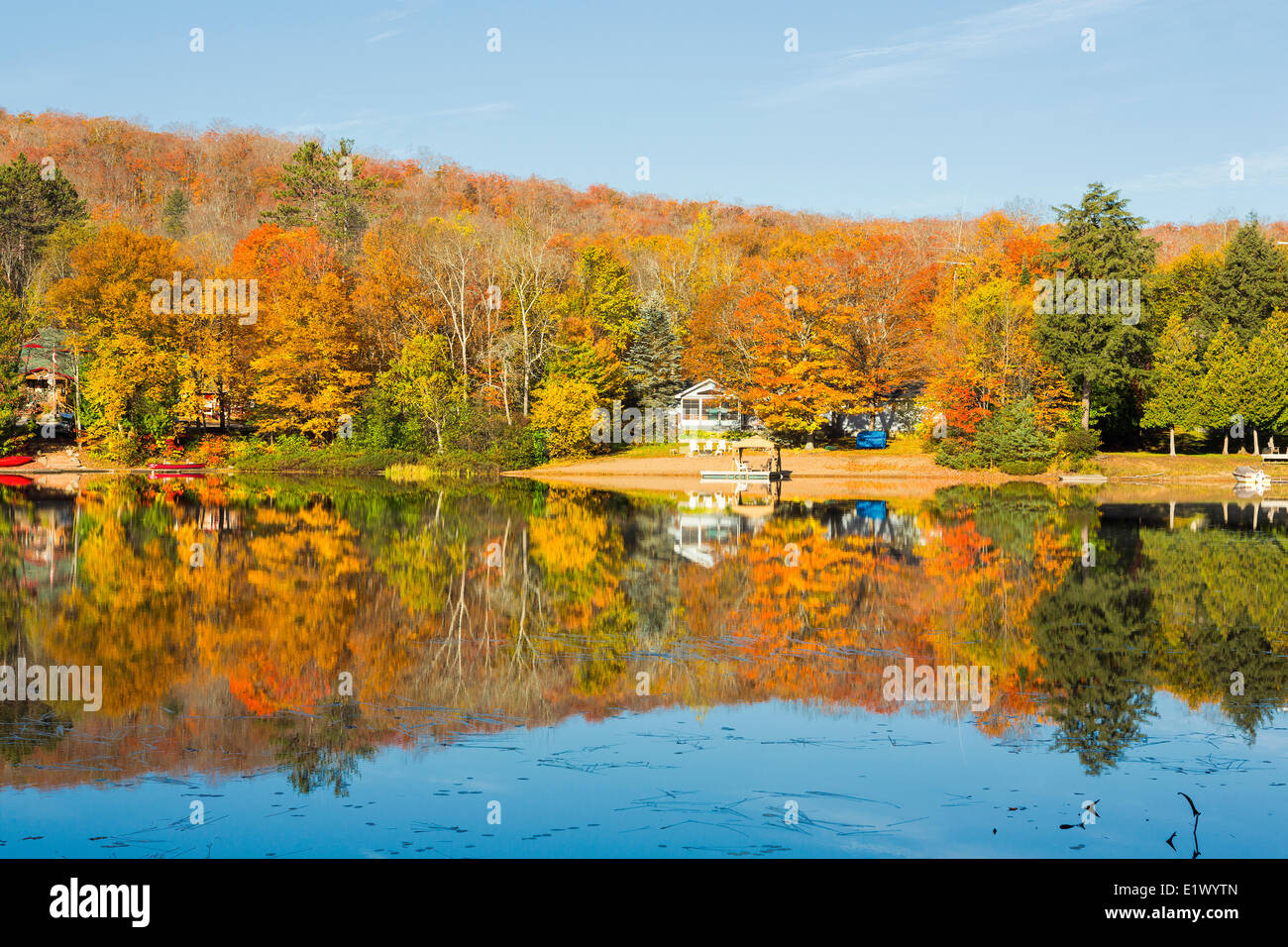 Herbstlaub spiegelt sich im See Buchten, Muskoka, Ontario, Kanada Stockfoto