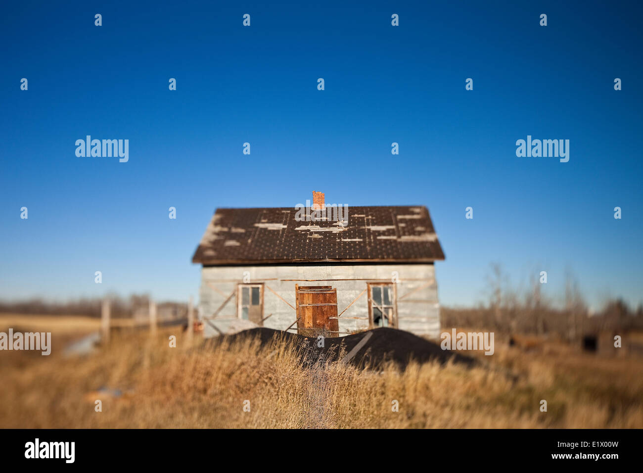 Verlassenen Bauernhaus unter blauem Himmel, Alberta, Kanada Stockfoto