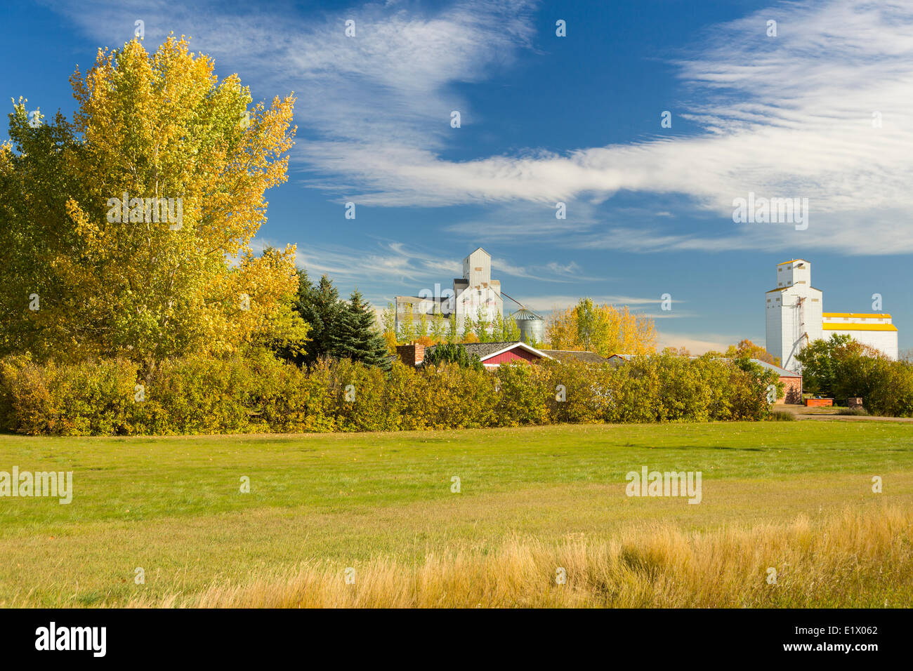 Getreidesilos, Tuxford, Saskatchewan, Kanada Stockfoto