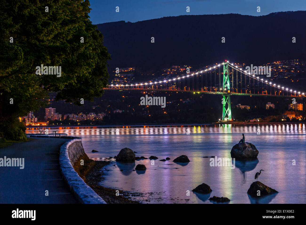 Lions Gate Bridge und Graureiher, Vancouver, Britisch-Kolumbien, Kanada Stockfoto