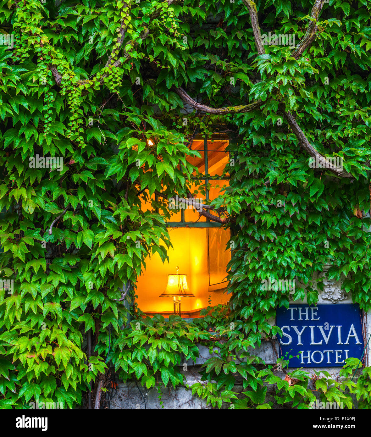 Sylvia Hotel und Boston-Efeu, Vancouver, Britisch-Kolumbien, Kanada Stockfoto
